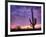 USA, Arizona, Tucson, Saguaro National Park-Michele Falzone-Framed Photographic Print