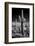 USA, Arizona, Tucson, Saguaro National Park-Peter Hawkins-Framed Photographic Print