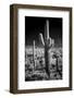 USA, Arizona, Tucson, Saguaro National Park-Peter Hawkins-Framed Photographic Print