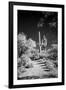 USA, Arizona, Tucson, Saguaro National Park-Peter Hawkins-Framed Photographic Print