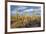 USA, Arizona, Tucson, Saguaro National Park-Peter Hawkins-Framed Premium Photographic Print