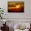 USA, Arizona, Tucson, Saguaro National Park-Peter Hawkins-Framed Stretched Canvas displayed on a wall