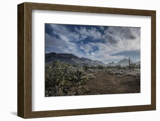 USA, Arizona, Tucson, Tucson Mountain Park-Peter Hawkins-Framed Photographic Print