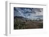 USA, Arizona, Tucson, Tucson Mountain Park-Peter Hawkins-Framed Photographic Print