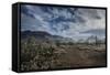 USA, Arizona, Tucson, Tucson Mountain Park-Peter Hawkins-Framed Stretched Canvas