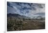 USA, Arizona, Tucson, Tucson Mountain Park-Peter Hawkins-Framed Photographic Print