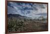 USA, Arizona, Tucson, Tucson Mountain Park-Peter Hawkins-Framed Photographic Print