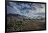 USA, Arizona, Tucson, Tucson Mountain Park-Peter Hawkins-Framed Photographic Print