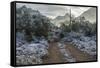 USA, Arizona, Tucson, Tucson Mountain Park-Peter Hawkins-Framed Stretched Canvas