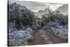 USA, Arizona, Tucson, Tucson Mountain Park-Peter Hawkins-Stretched Canvas