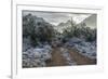 USA, Arizona, Tucson, Tucson Mountain Park-Peter Hawkins-Framed Photographic Print