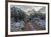 USA, Arizona, Tucson, Tucson Mountain Park-Peter Hawkins-Framed Photographic Print