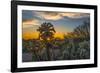 USA, Arizona, Tucson, Tucson Mountain Park-Peter Hawkins-Framed Photographic Print