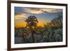 USA, Arizona, Tucson, Tucson Mountain Park-Peter Hawkins-Framed Photographic Print