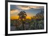 USA, Arizona, Tucson, Tucson Mountain Park-Peter Hawkins-Framed Photographic Print