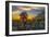 USA, Arizona, Tucson, Tucson Mountain Park-Peter Hawkins-Framed Photographic Print