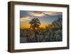 USA, Arizona, Tucson, Tucson Mountain Park-Peter Hawkins-Framed Photographic Print