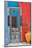 USA, Arizona, Tucson, Weathered Door-Hollice Looney-Mounted Photographic Print