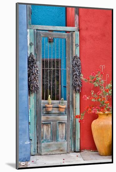 USA, Arizona, Tucson, Weathered Door-Hollice Looney-Mounted Photographic Print