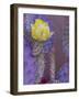 Usa, Arizona, Tucson. Yellow flower on purple Prickly Pear Cactus.-Merrill Images-Framed Photographic Print