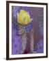 Usa, Arizona, Tucson. Yellow flower on purple Prickly Pear Cactus.-Merrill Images-Framed Photographic Print