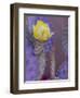 Usa, Arizona, Tucson. Yellow flower on purple Prickly Pear Cactus.-Merrill Images-Framed Premium Photographic Print