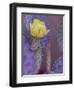 Usa, Arizona, Tucson. Yellow flower on purple Prickly Pear Cactus.-Merrill Images-Framed Premium Photographic Print