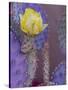 Usa, Arizona, Tucson. Yellow flower on purple Prickly Pear Cactus.-Merrill Images-Stretched Canvas