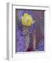 Usa, Arizona, Tucson. Yellow flower on purple Prickly Pear Cactus.-Merrill Images-Framed Photographic Print