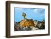USA, Arizona, Vermilion Cliffs NM. White Pocket, multicolored formations of Navajo sandstone-Bernard Friel-Framed Photographic Print