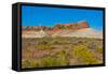 USA, Arizona, Vermillion Cliffs Wilderness, Whitehouse Trailhead-Bernard Friel-Framed Stretched Canvas