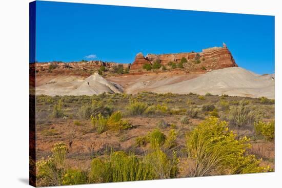 USA, Arizona, Vermillion Cliffs Wilderness, Whitehouse Trailhead-Bernard Friel-Stretched Canvas