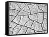 USA, Arizona, Wahweap Mud Cracks, Arizona, USA-John Ford-Framed Stretched Canvas