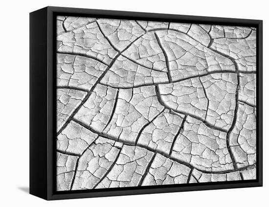 USA, Arizona, Wahweap Mud Cracks, Arizona, USA-John Ford-Framed Stretched Canvas