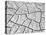 USA, Arizona, Wahweap Mud Cracks, Arizona, USA-John Ford-Stretched Canvas