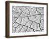 USA, Arizona, Wahweap Mud Cracks, Arizona, USA-John Ford-Framed Photographic Print