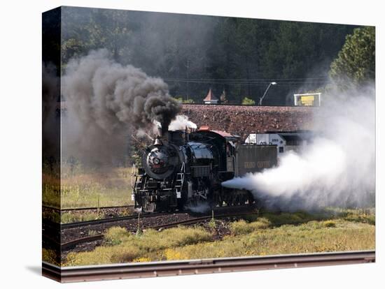 USA, Arizona, Williams, Grand Canyon Railway-Peter Hawkins-Stretched Canvas