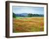 USA, Arkansas. Blooming Scarlet Clover in Boston Mountains-Dennis Flaherty-Framed Premium Photographic Print