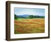 USA, Arkansas. Blooming Scarlet Clover in Boston Mountains-Dennis Flaherty-Framed Photographic Print