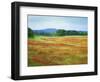 USA, Arkansas. Blooming Scarlet Clover in Boston Mountains-Dennis Flaherty-Framed Photographic Print