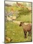 USA Baa Baa Black Sheep Book Plate-null-Mounted Giclee Print