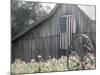 USA Barn-Kimberly Allen-Mounted Art Print