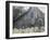 USA Barn-Kimberly Allen-Framed Art Print