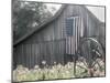 USA Barn-Kimberly Allen-Mounted Art Print