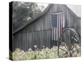 USA Barn-Kimberly Allen-Stretched Canvas