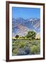 USA, Bishop, California. Eastern Sierra Region, Owens Valley-Joe Restuccia III-Framed Premium Photographic Print