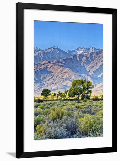 USA, Bishop, California. Eastern Sierra Region, Owens Valley-Joe Restuccia III-Framed Premium Photographic Print