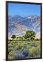 USA, Bishop, California. Eastern Sierra Region, Owens Valley-Joe Restuccia III-Framed Photographic Print