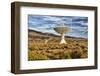 USA, Bishop, California. The Owens Valley Radio Observatory-Joe Restuccia III-Framed Photographic Print