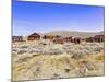 USA, Bodie, California. Mining town, Bodie California State Park.-Joe Restuccia III-Mounted Photographic Print